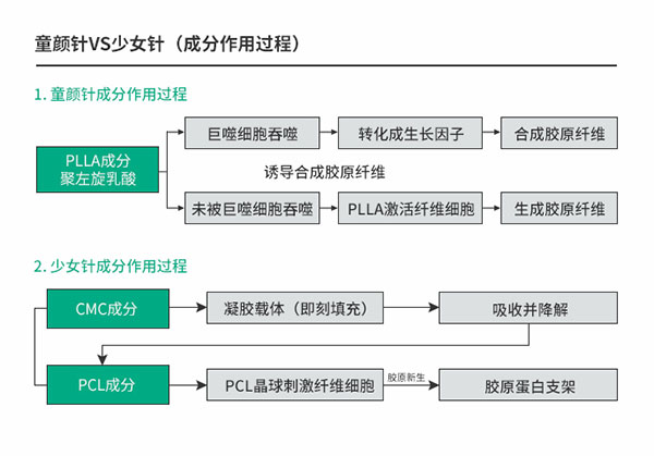 少女針（使用PCL材料）和童顏針（使用PLA材料）